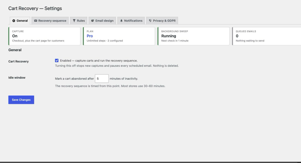 The General settings tab with a status panel showing capture state, plan, background sweep and queued emails.